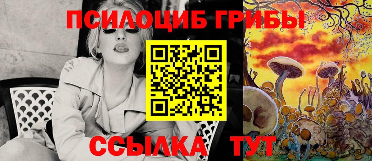 купить  цена  Псилоцибиновые грибы GOLDEN TEACHER  Вход с VPN  Джанкой 